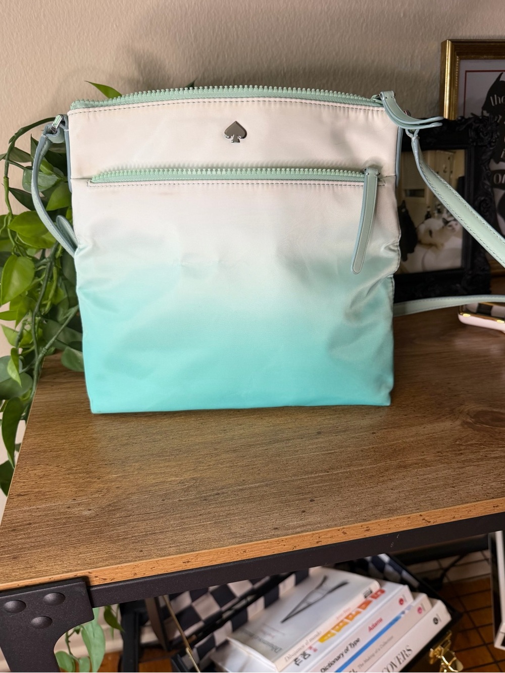 Kate Spade New York Mint Ombre Crossbody Bag